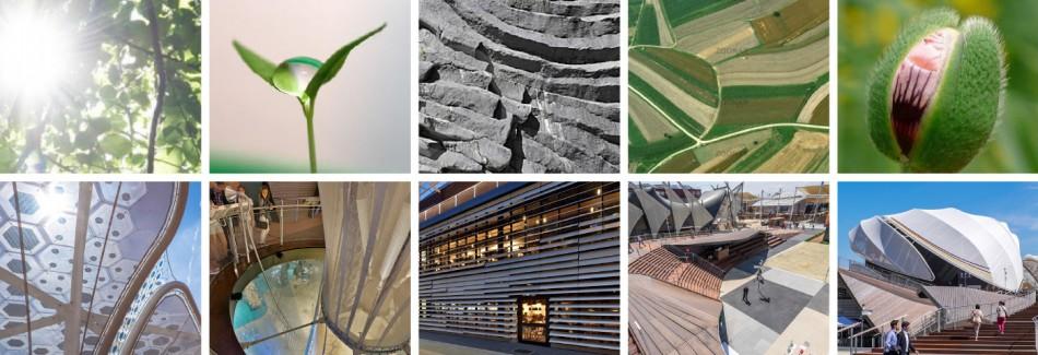 米蘭世博會德國館設(shè)計(jì)1